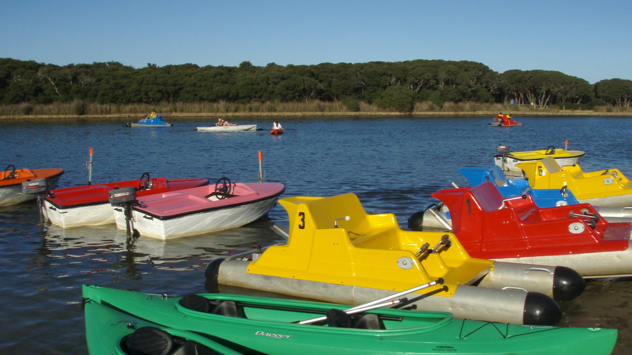 Anglesea Paddleboats and Canoe Hire, Hire, Great Ocean 