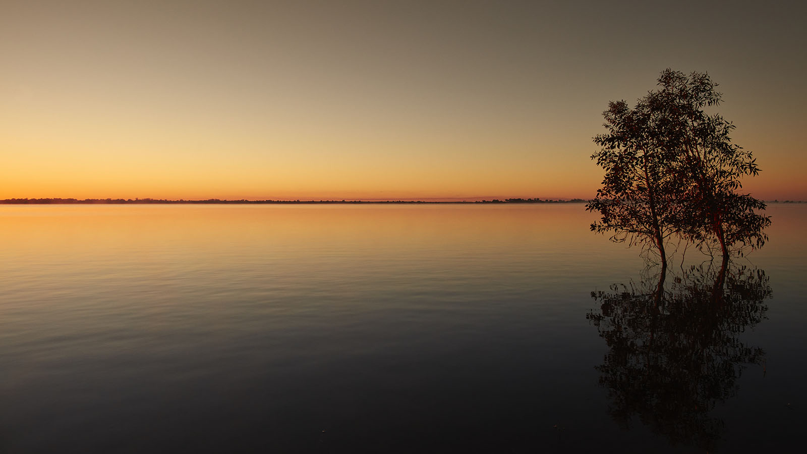 Lake Boga, The Murray, Victoria