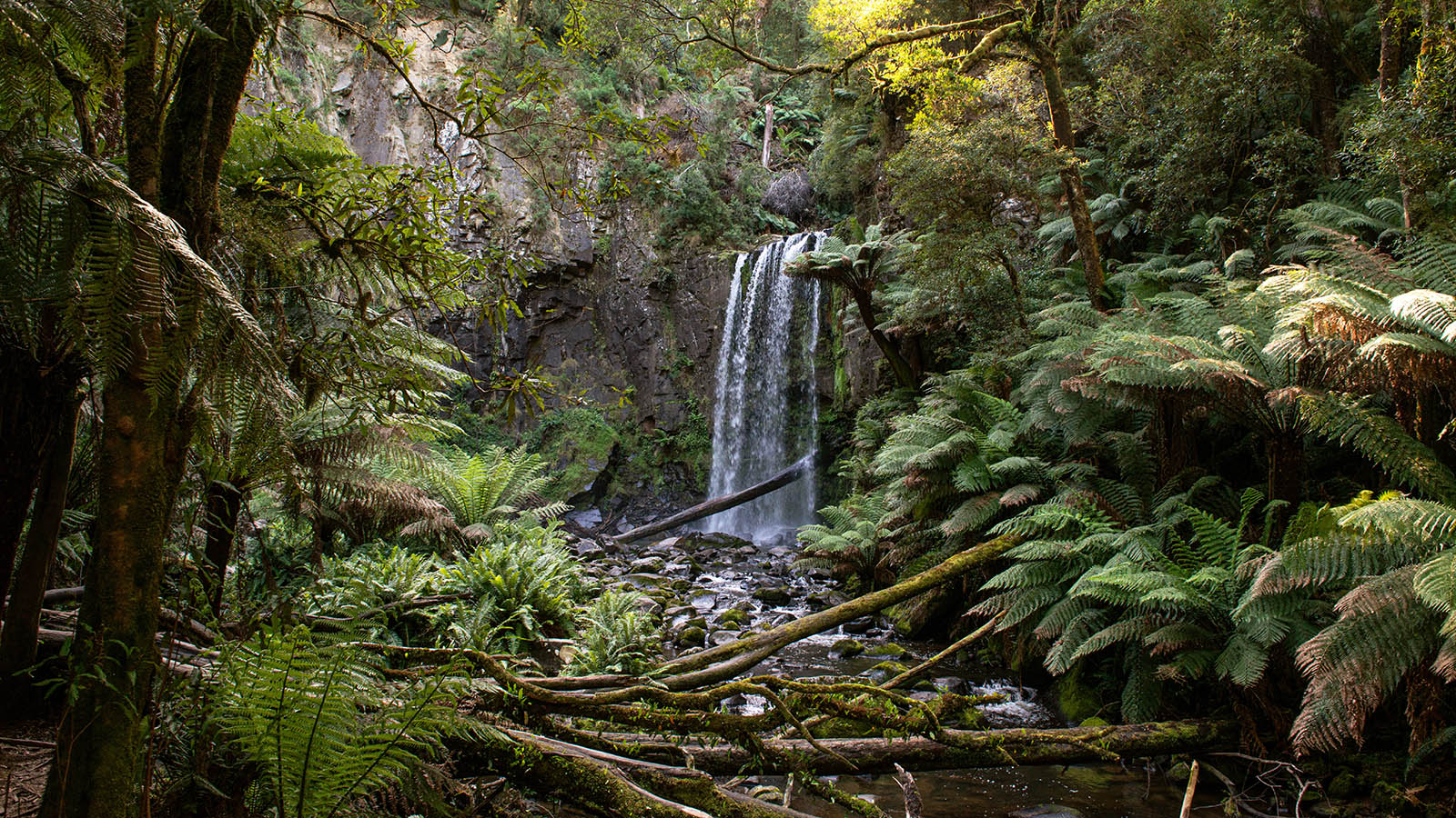 Hopetoun Falls, The Otways, Victoria
